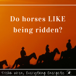 do horses like being ridden