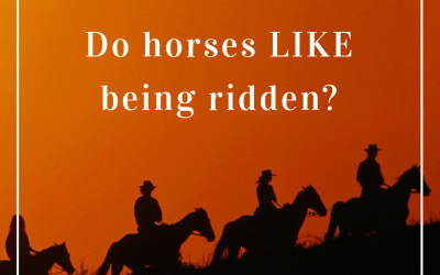 Do horses like being ridden?