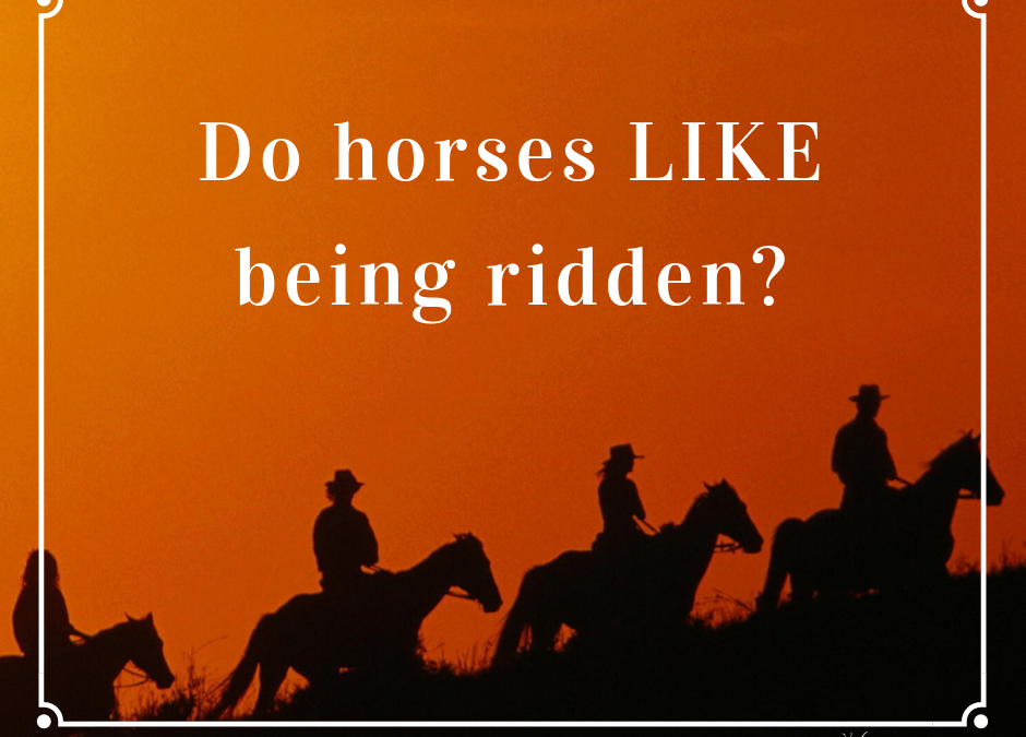 do horses like being ridden