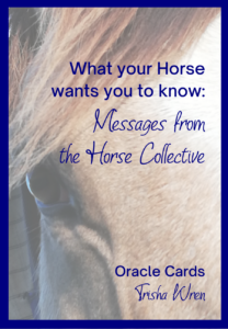 horse oracle cards