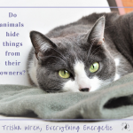 do animals hide information