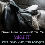 animal-communication-tip horse saddle fit