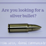 Is animal communication a silver bullet