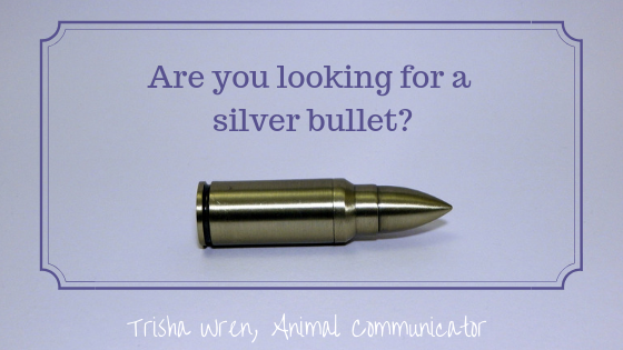 Can animal communication fix all my problems?