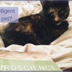 How intelligent is my horse / dog / cat