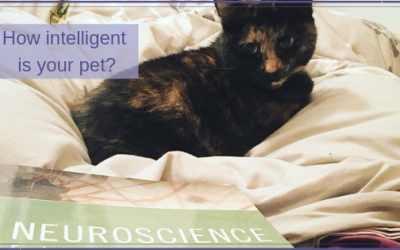 How intelligent is your pet?