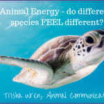 do different species feel different