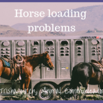 Horse loading problems