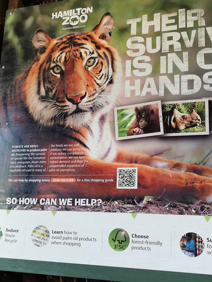 are zoo animals happy