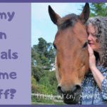 talking to animals