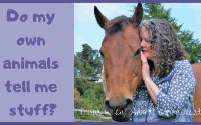 Can I talk to my own animals?