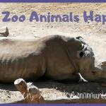 are zoo animals happy