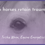 do horses retain trauma