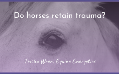 Do horses retain trauma?