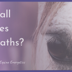 Are horses empaths?