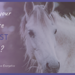 Does your horse trust you?