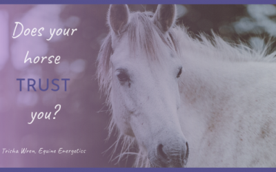 Does your horse trust you?