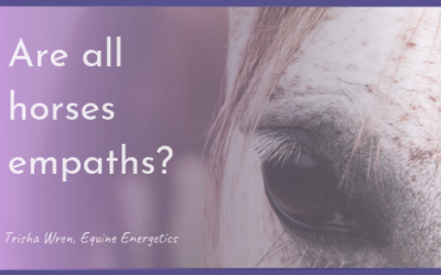 Are horses empaths?