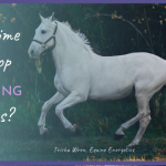 breaking horses