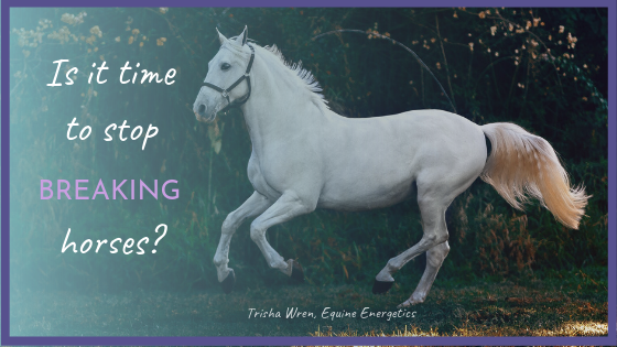 breaking horses