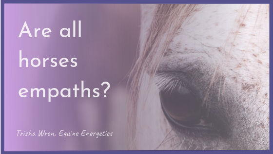 Are horses empaths?