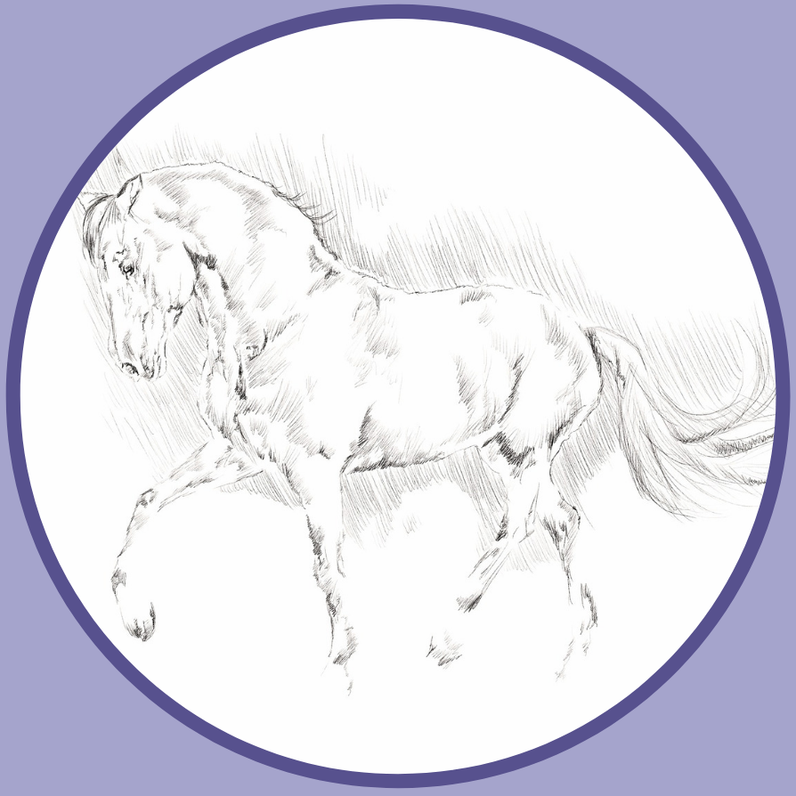 animal communication courses