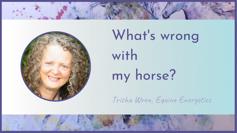 what's wrong with my horse free webinar