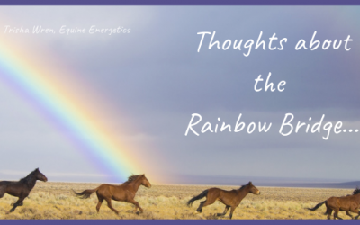 Crossing the Rainbow Bridge