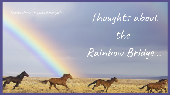 rainbow bridge horse grief