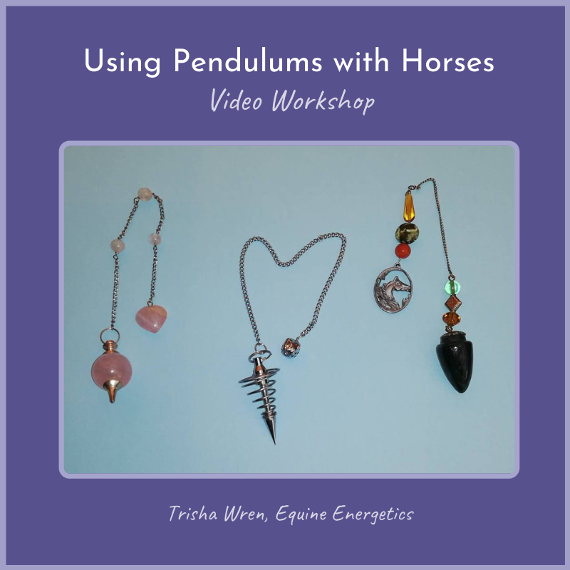 using pendulums with horses