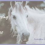 animal communication skeptic