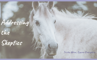 Addressing the Animal Communication Skeptics