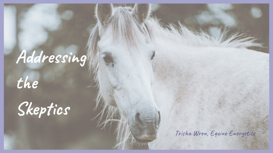 how does animal communication work
