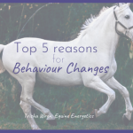 horse behaviour changes