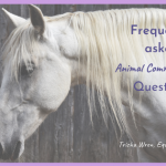frequently asked animal communication questions