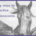 easy ways to practice animal communication