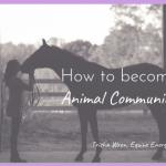 how to become an animal communicator