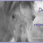 does your horse respect you