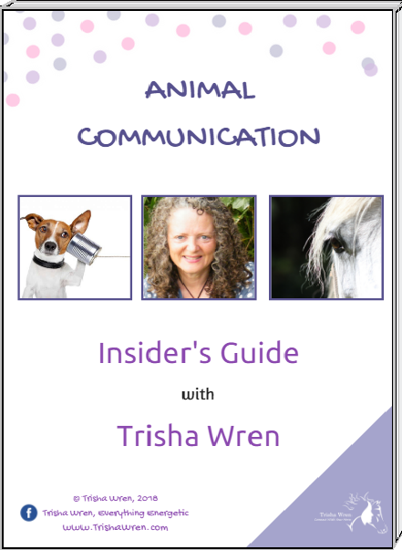 insiders guide to animal communication