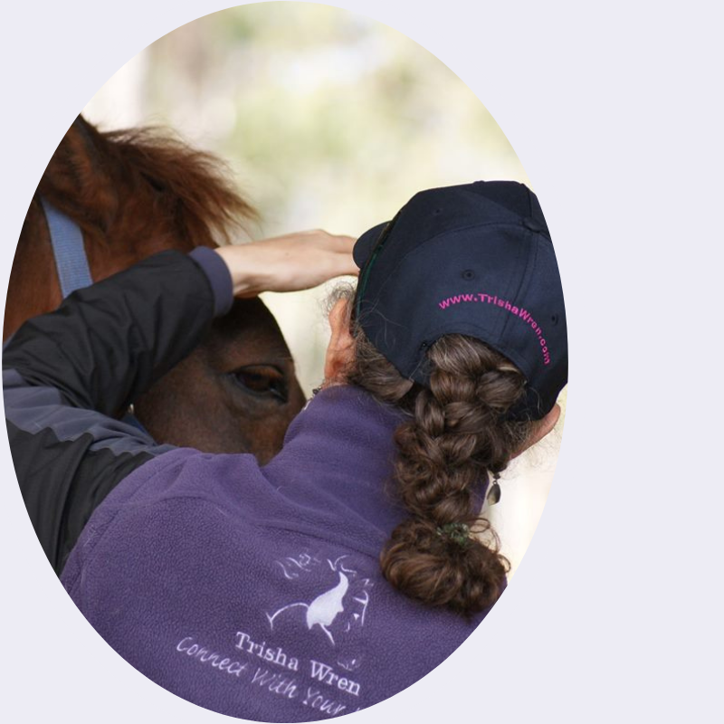 Trisha Wren animal communicator Trisha Wren animal communicator