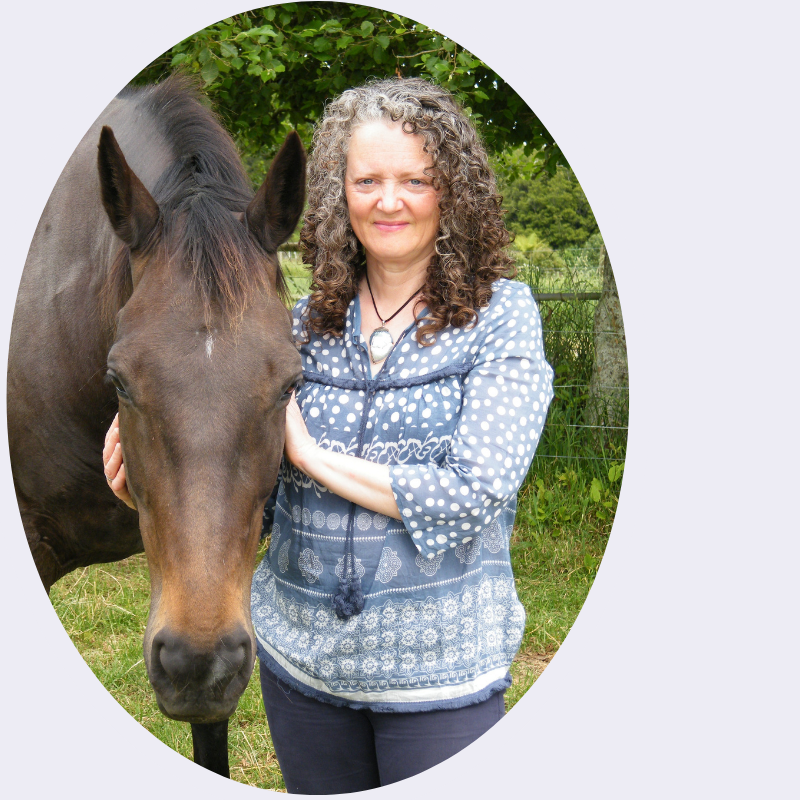 Trisha Wren horse communicator