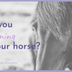 listen to your horse
