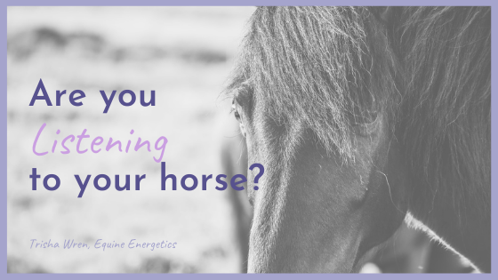 listen to your horse