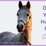 Does your horse feel safe