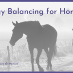 Energy Balancing for Horses