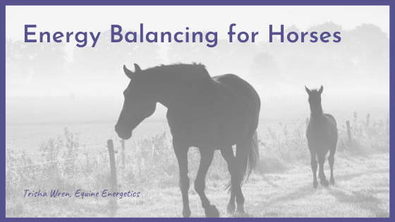 Energy Balancing for Horses