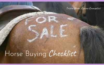 Horse Buying Checklist