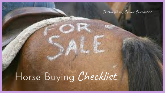 Horse Buying Checklist