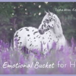 horse emotional bucket