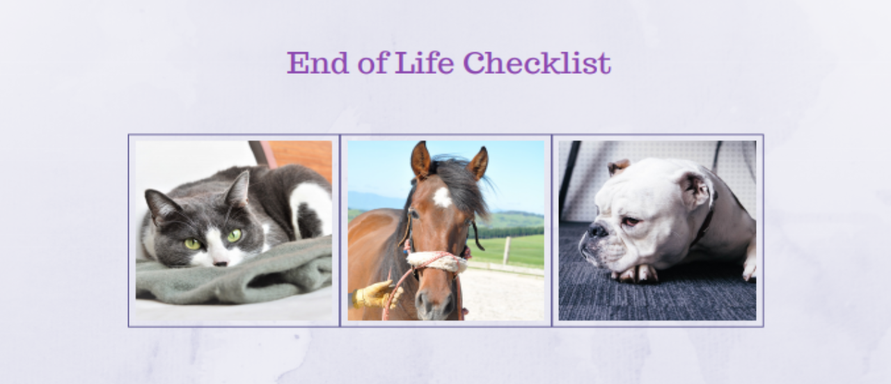 End of Life Checklist